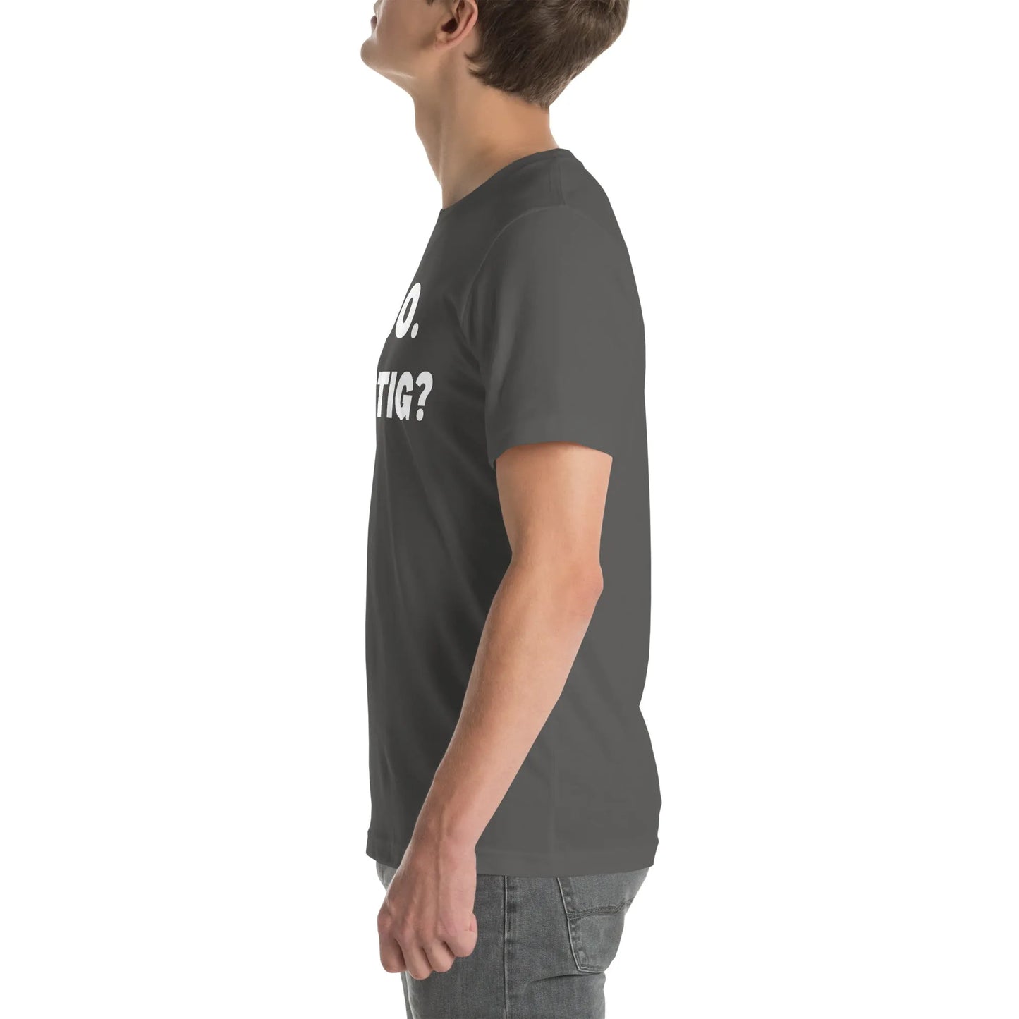 Linke Seitenansicht des lustigen Judo T-Shirts in Asphaltgrau